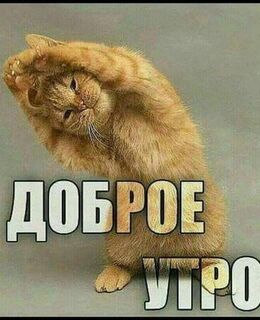 Александр Баконин