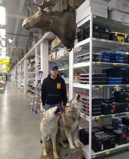 kapldm.spb@mail.ru — фото 2