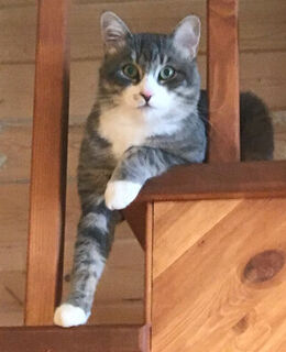 Унгбой Эшназаров