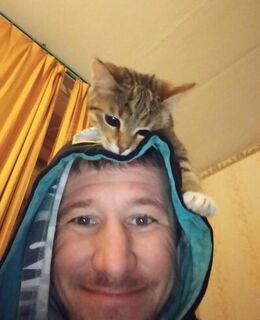Павел Голохвастов